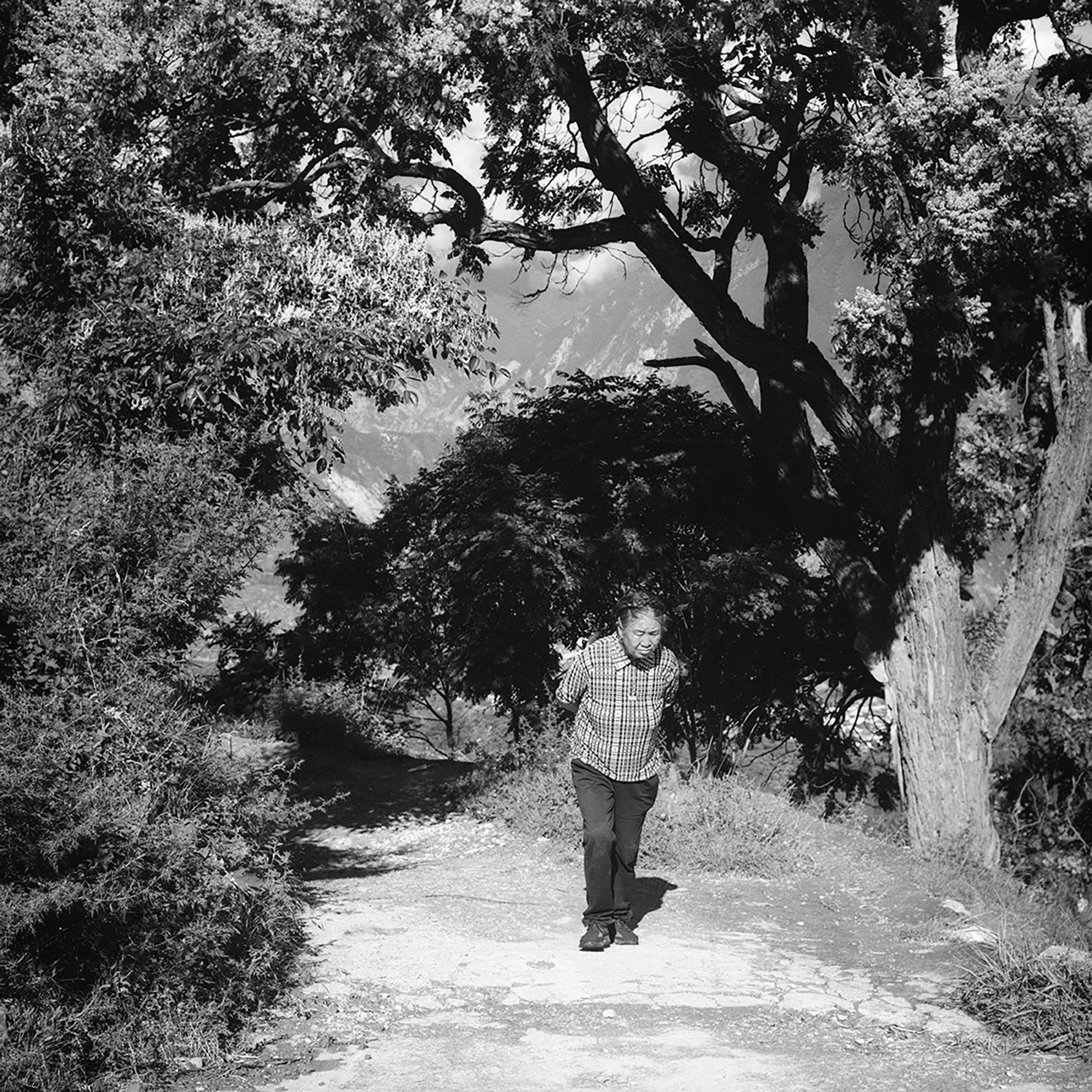 © Charles Chao Wang | Yonder