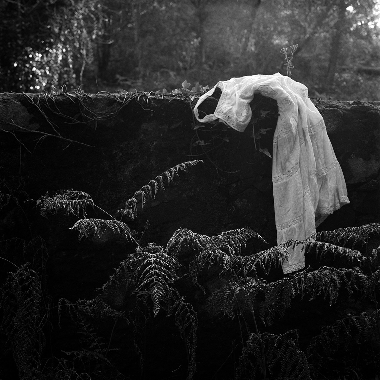 © Maksym Romenskyi | Enchanted Forest