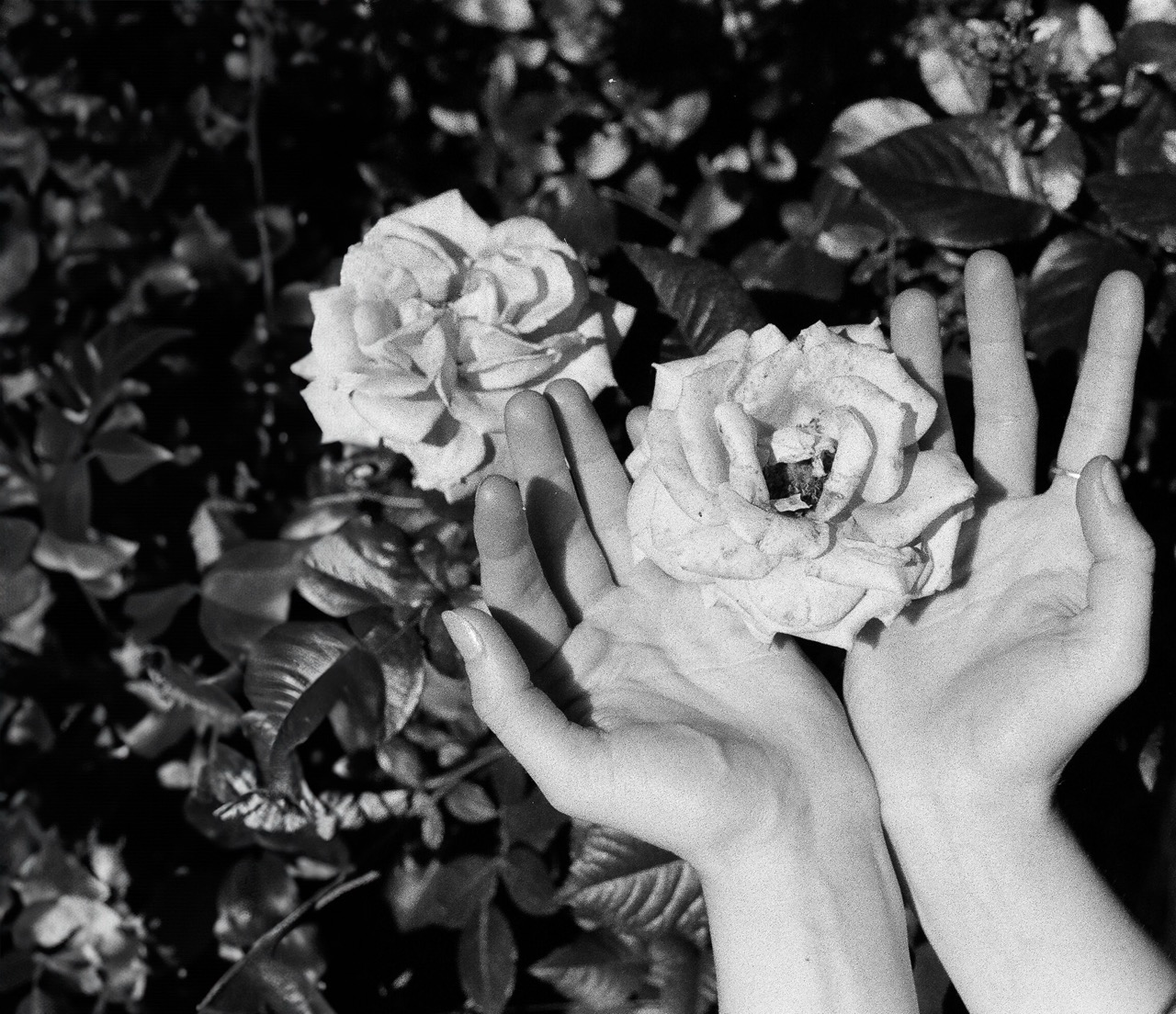 © Marina Vesper | The little things are the big things