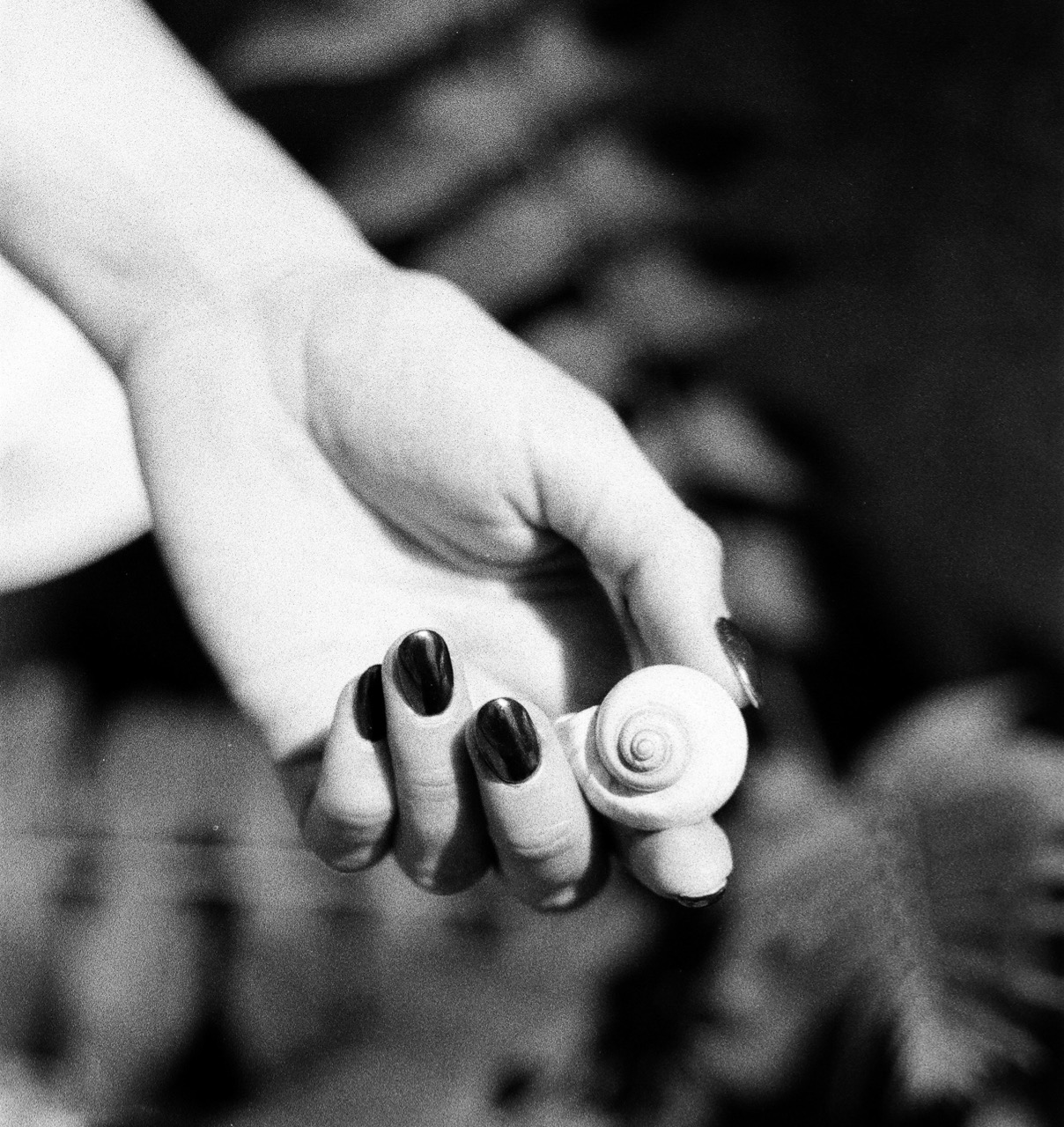 © Marina Vesper | The little things are the big things