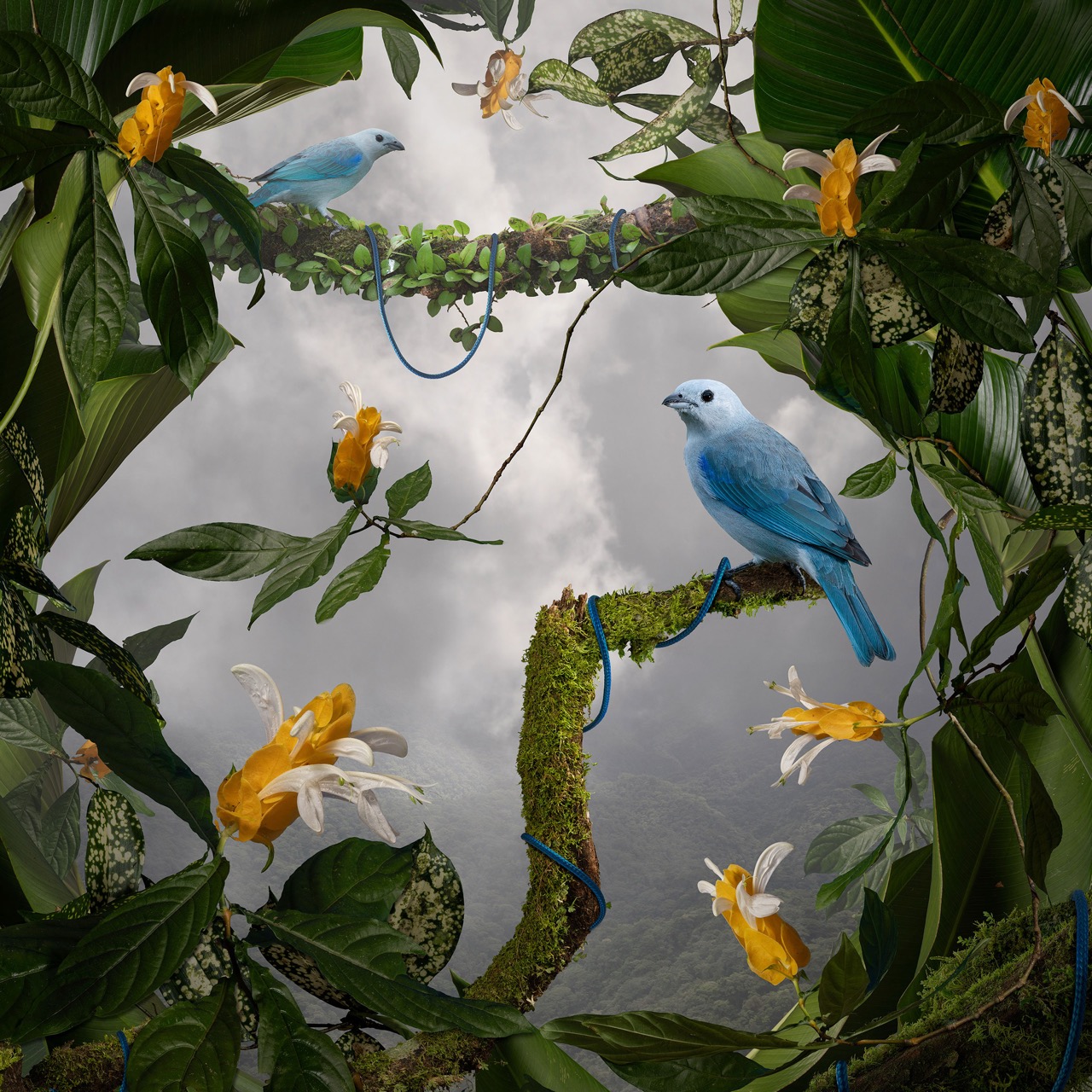 © Jason DeMarte | Tangential