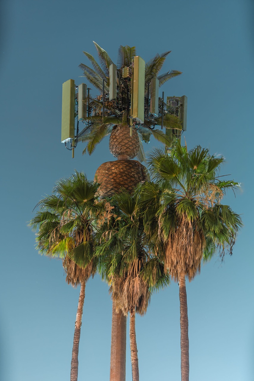 © Isik Kaya | Second Nature