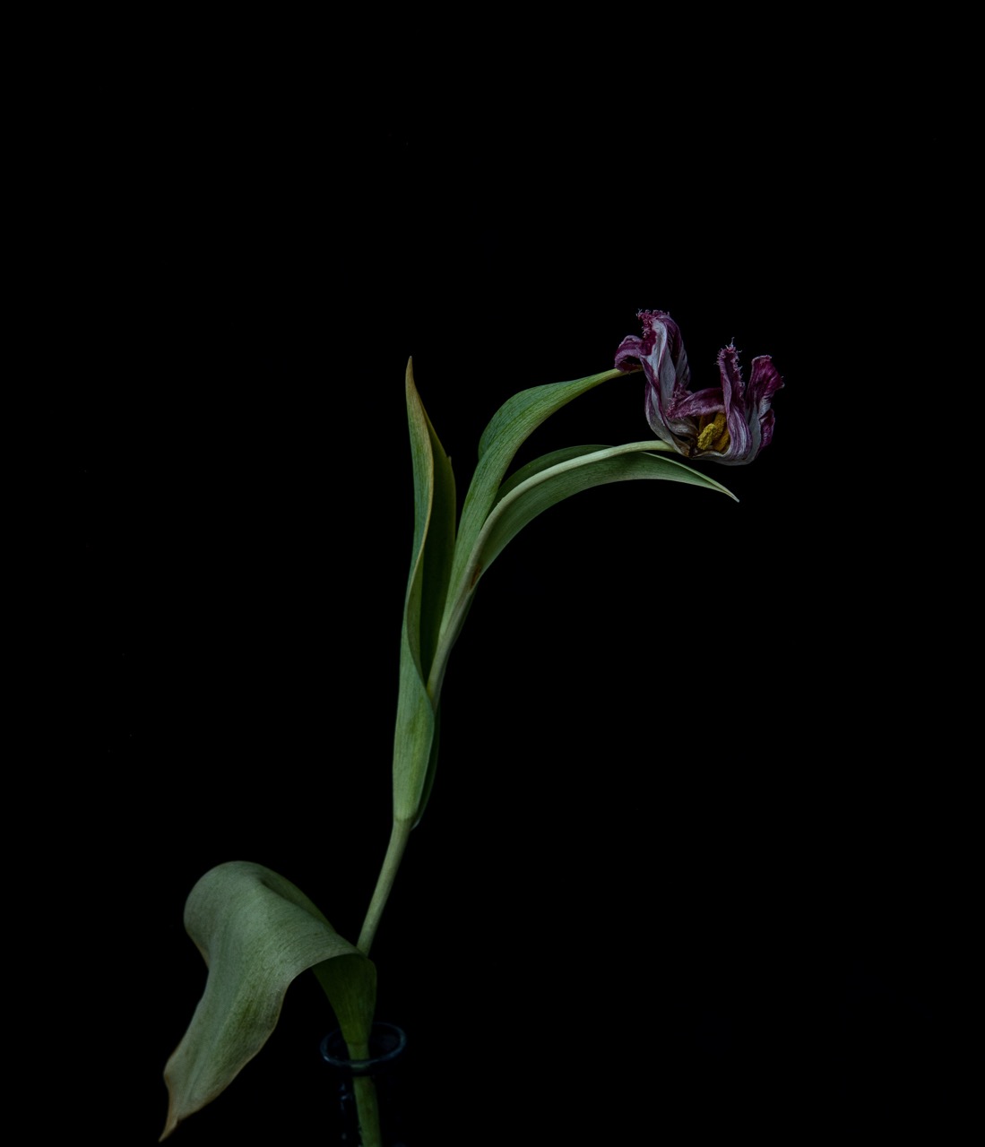 © Anne Killat | LebensWandel (Change of Life)