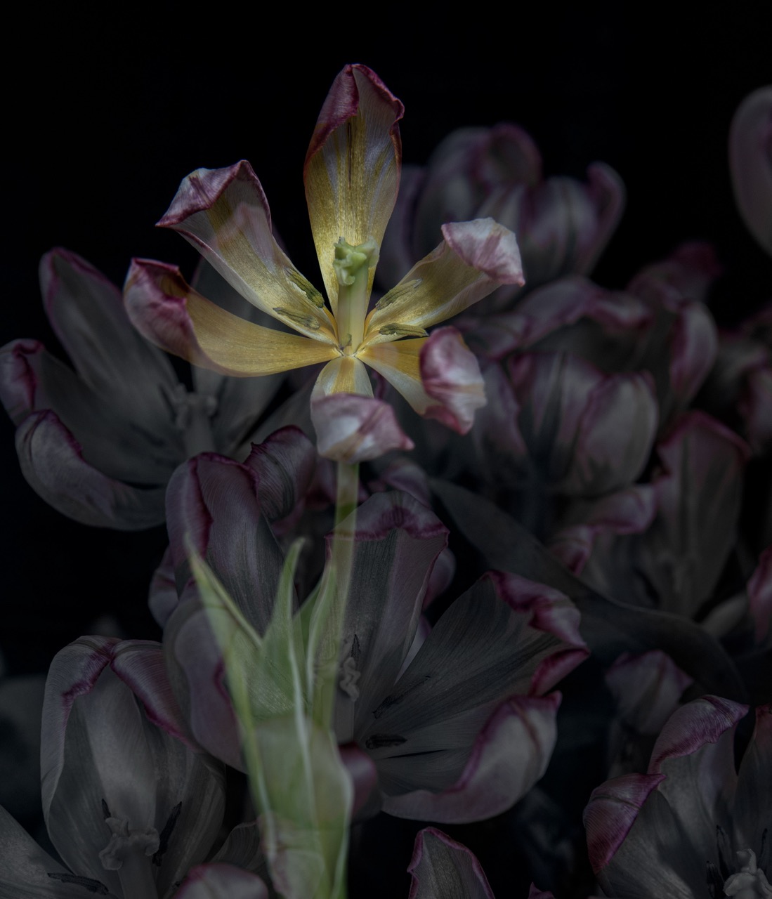 © Anne Killat | LebensWandel (Change of Life)