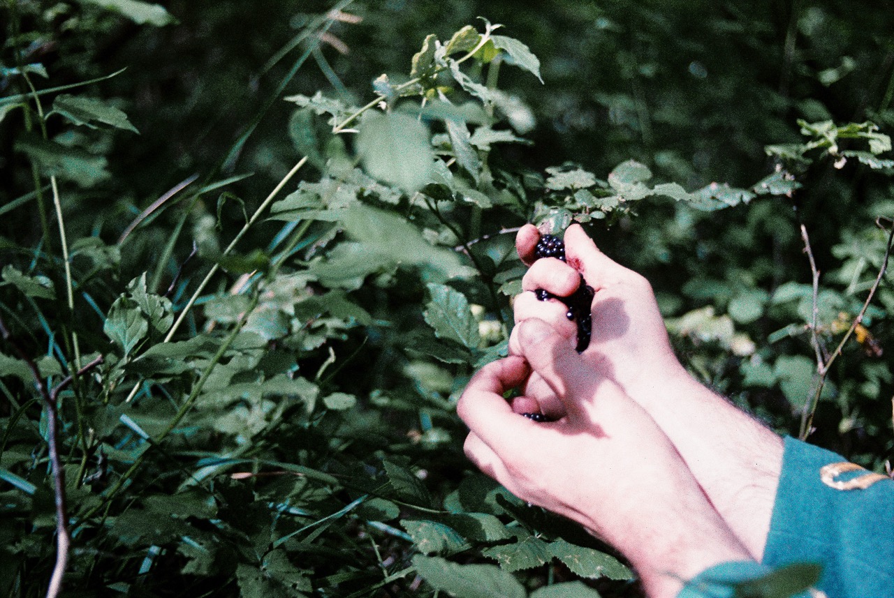 © Antonio Rosato | USSARO