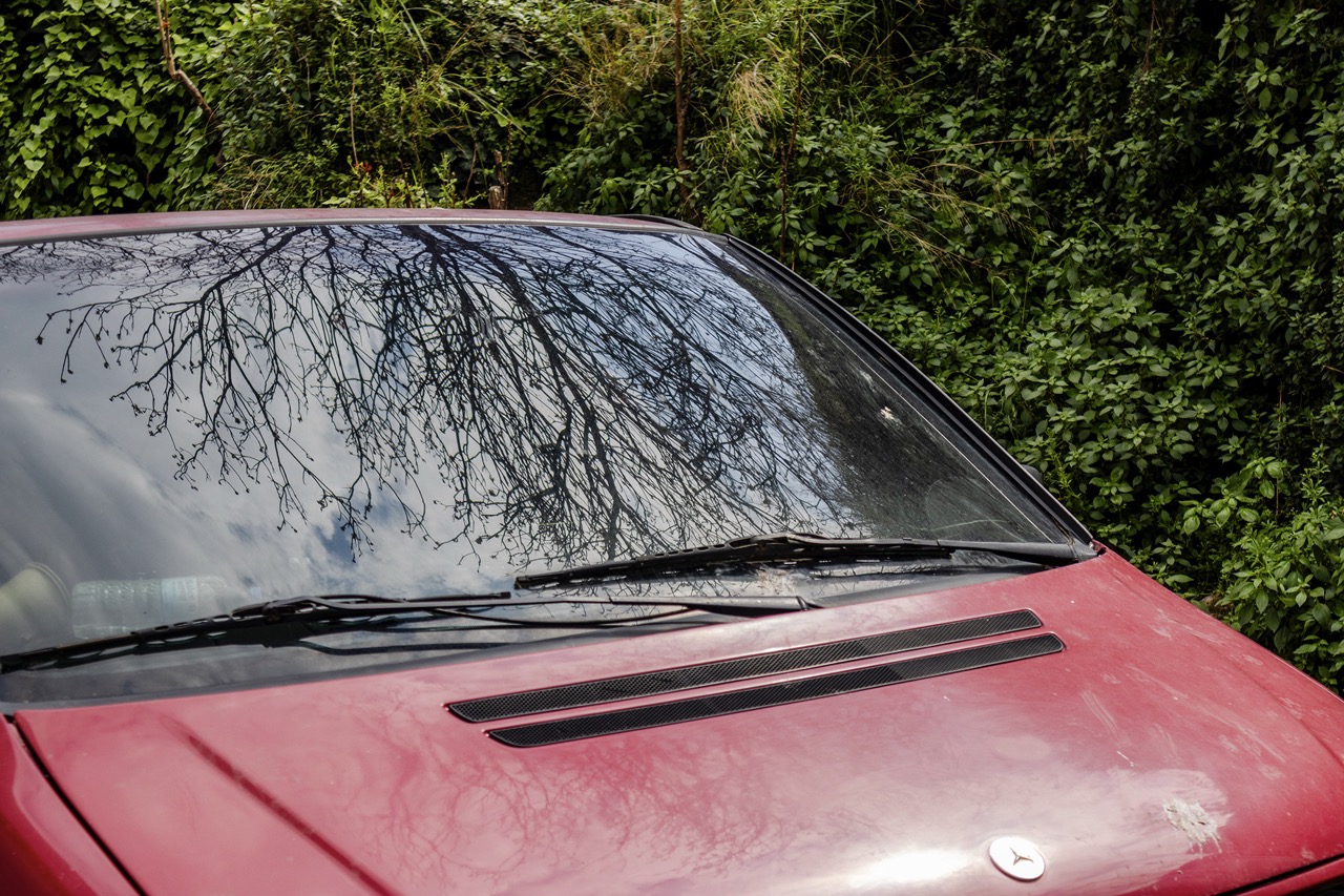 © Arman Kuzel | Life