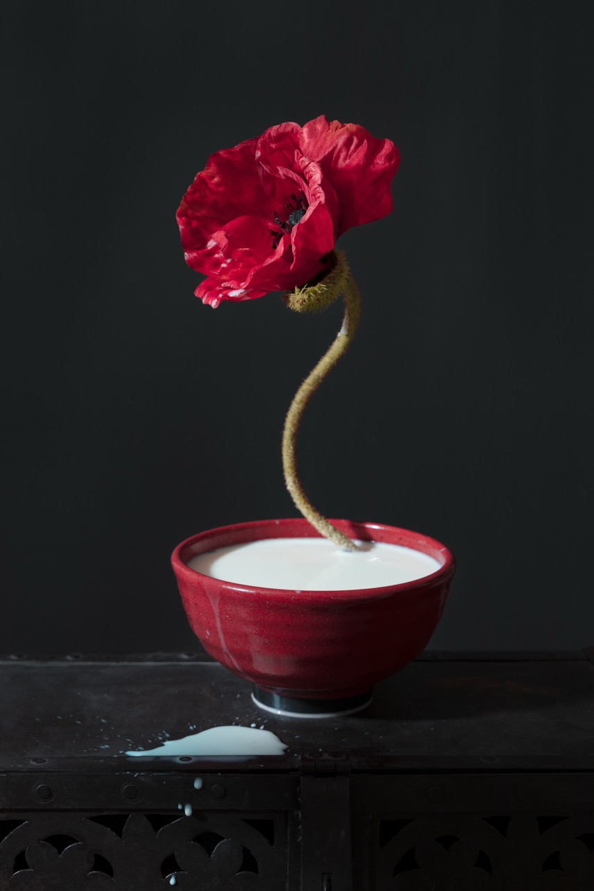 © Berber Maria Rip | Here Be Dragons - Gateways of Becoming