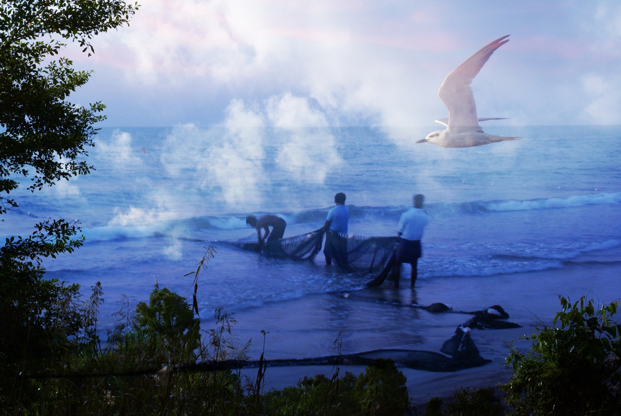 © Beverly McKay | Mourning Migrations