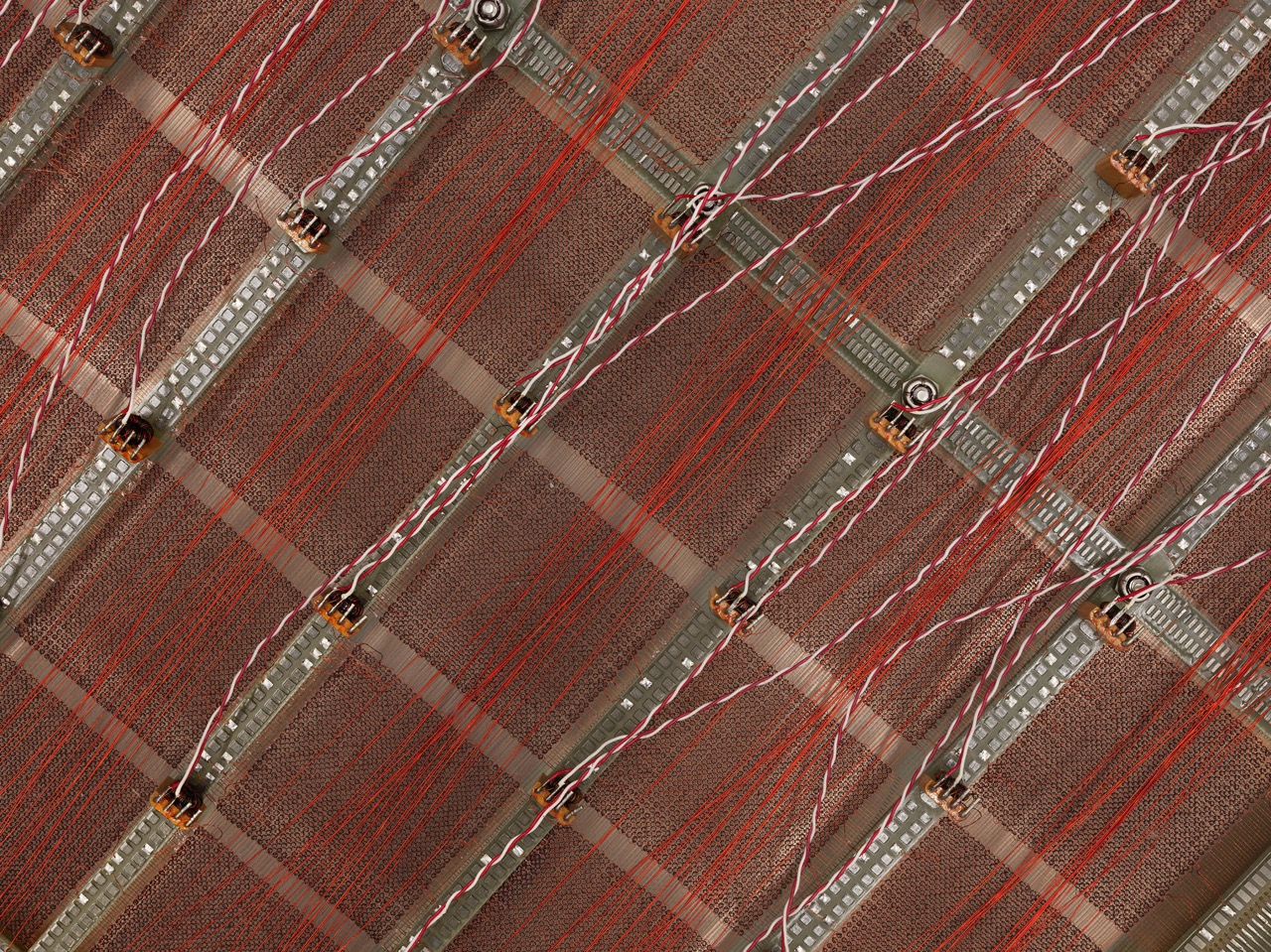 © Christopher Schmitt | Biomimical Rebirth