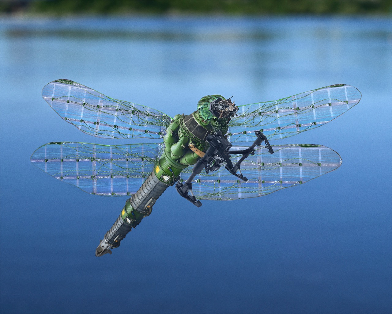 © Christopher Schmitt | Biomimical Rebirth