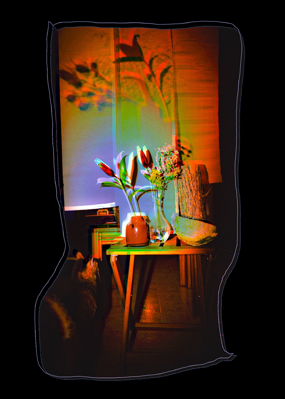 © Ekaterina Tsurkina-Appina