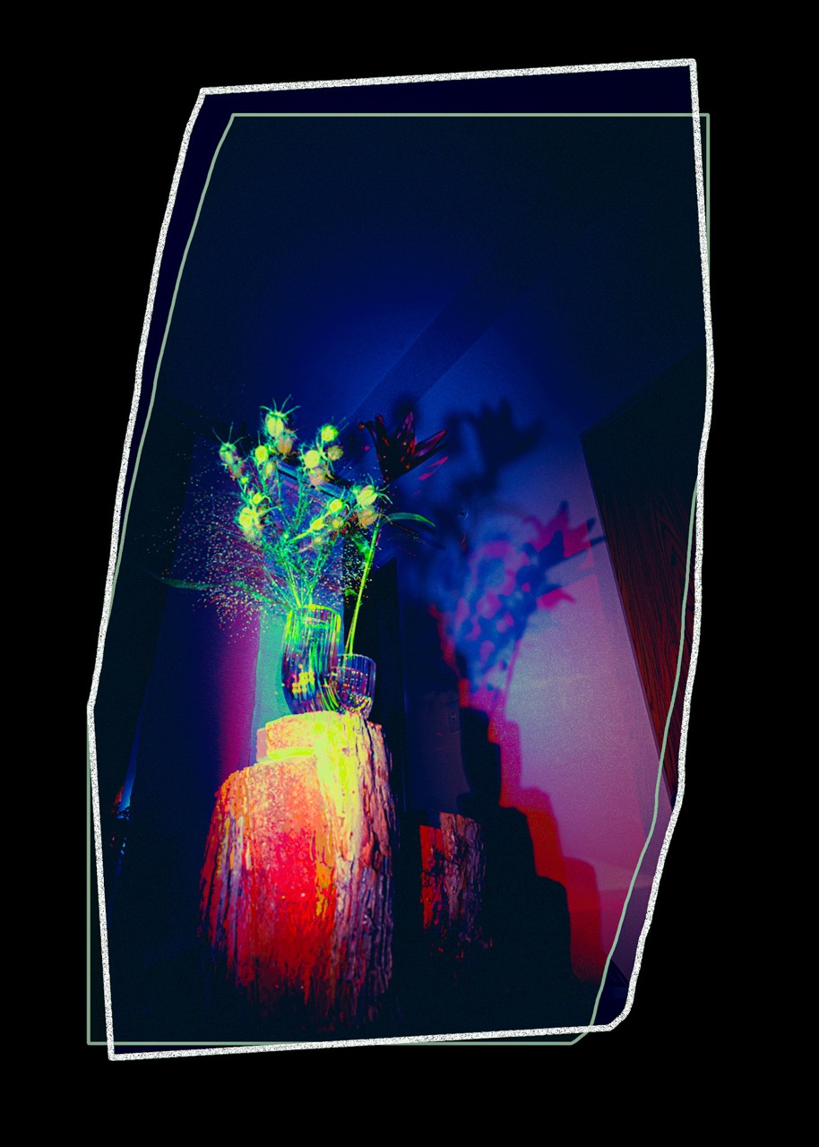 © Ekaterina Tsurkina-Appina