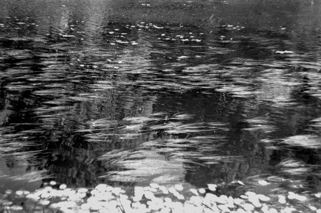 © Elena Serafimova | Ephemere