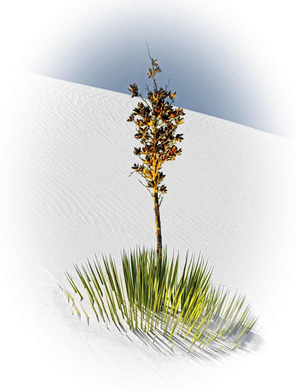 © Gary Smith | Perseverance