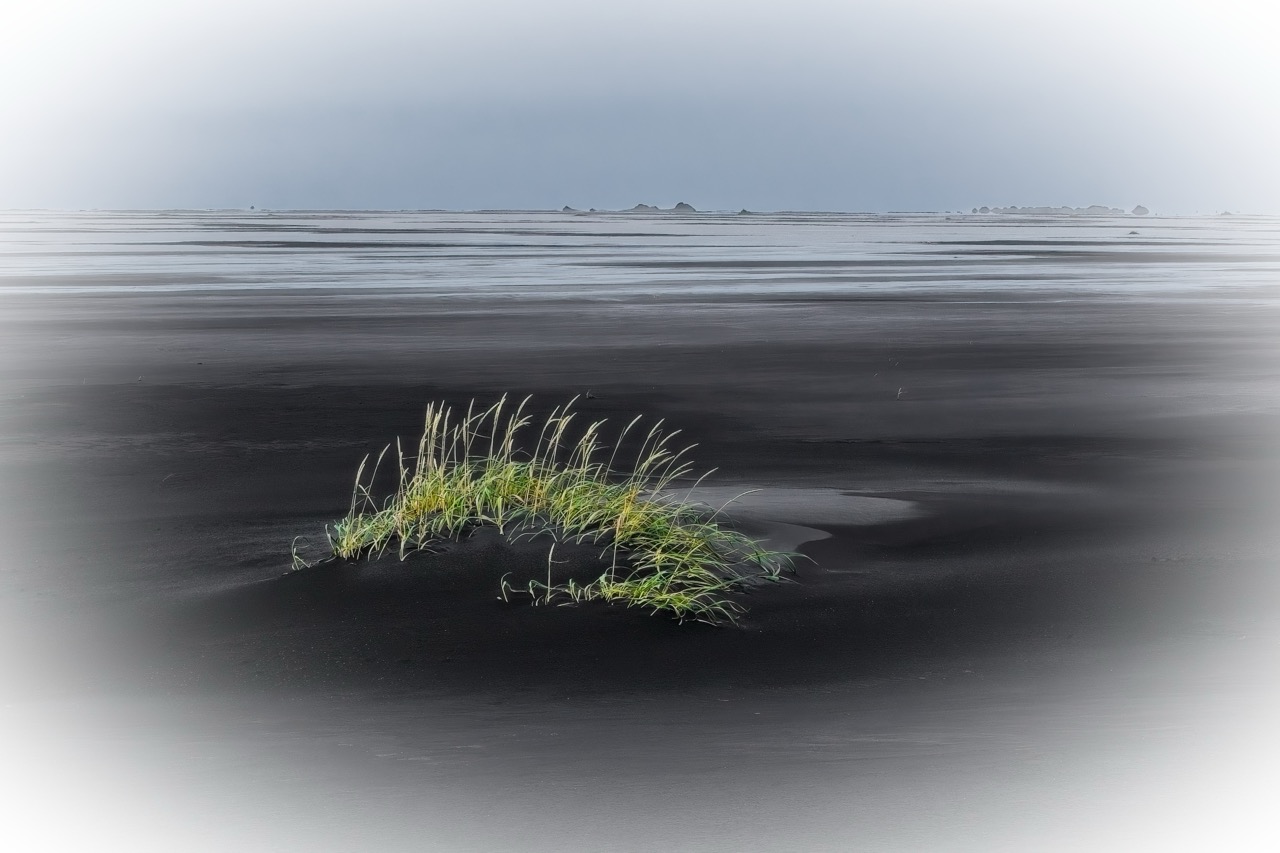 © Gary Smith | Perseverance