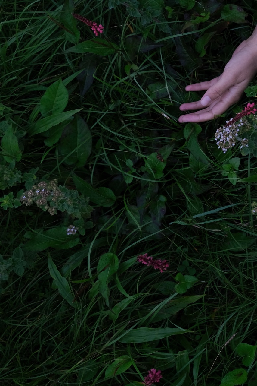 © Gaurav Sharma | The Wandering of Man