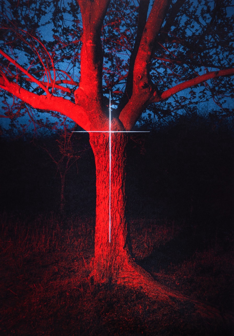 © Julia Wimmerlin | Freefalling