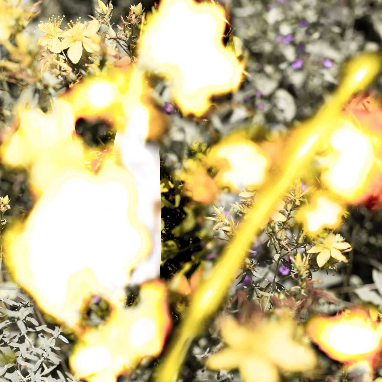 © Jurgen Rooijackers | Tuned landscapes 6