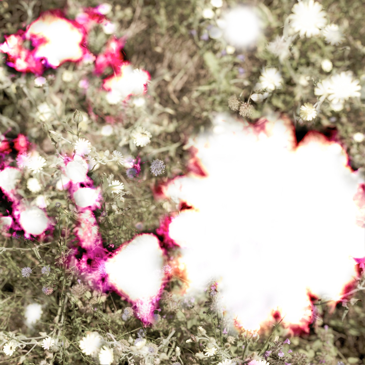 © Jurgen Rooijackers | Tuned landscapes 6