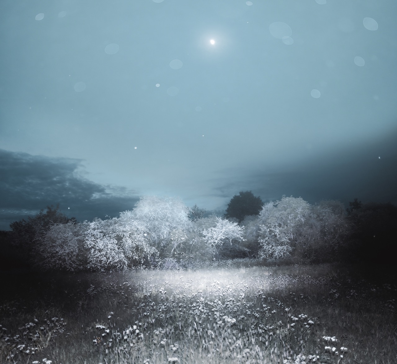 © Justin Pumfrey | Dreaming