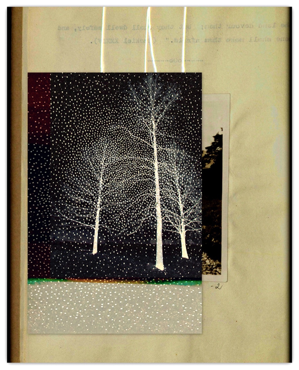 © Linda Plaisted | How The Light Gets In