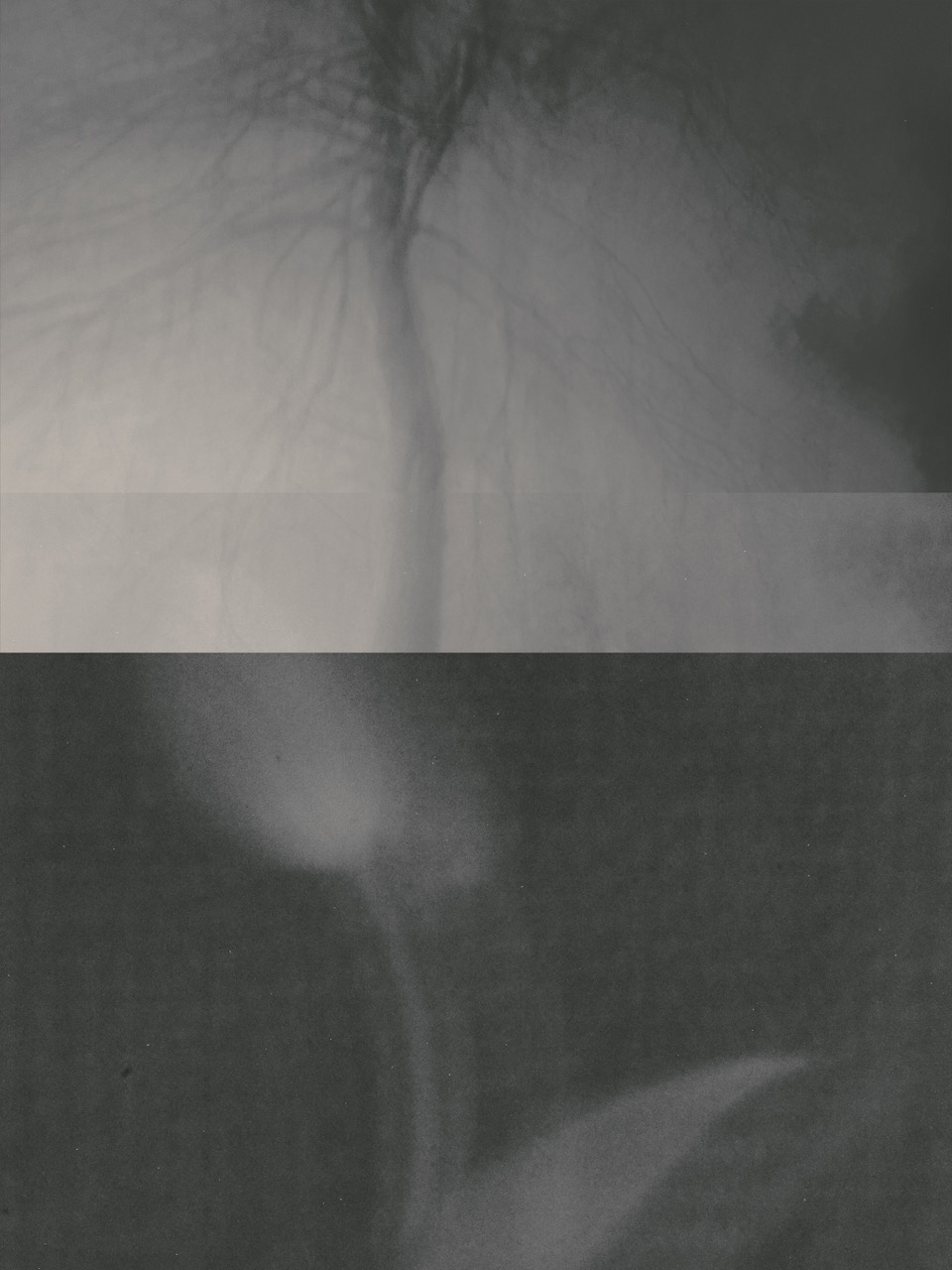 © Nadezda Kravcenko | To Understand Darkness