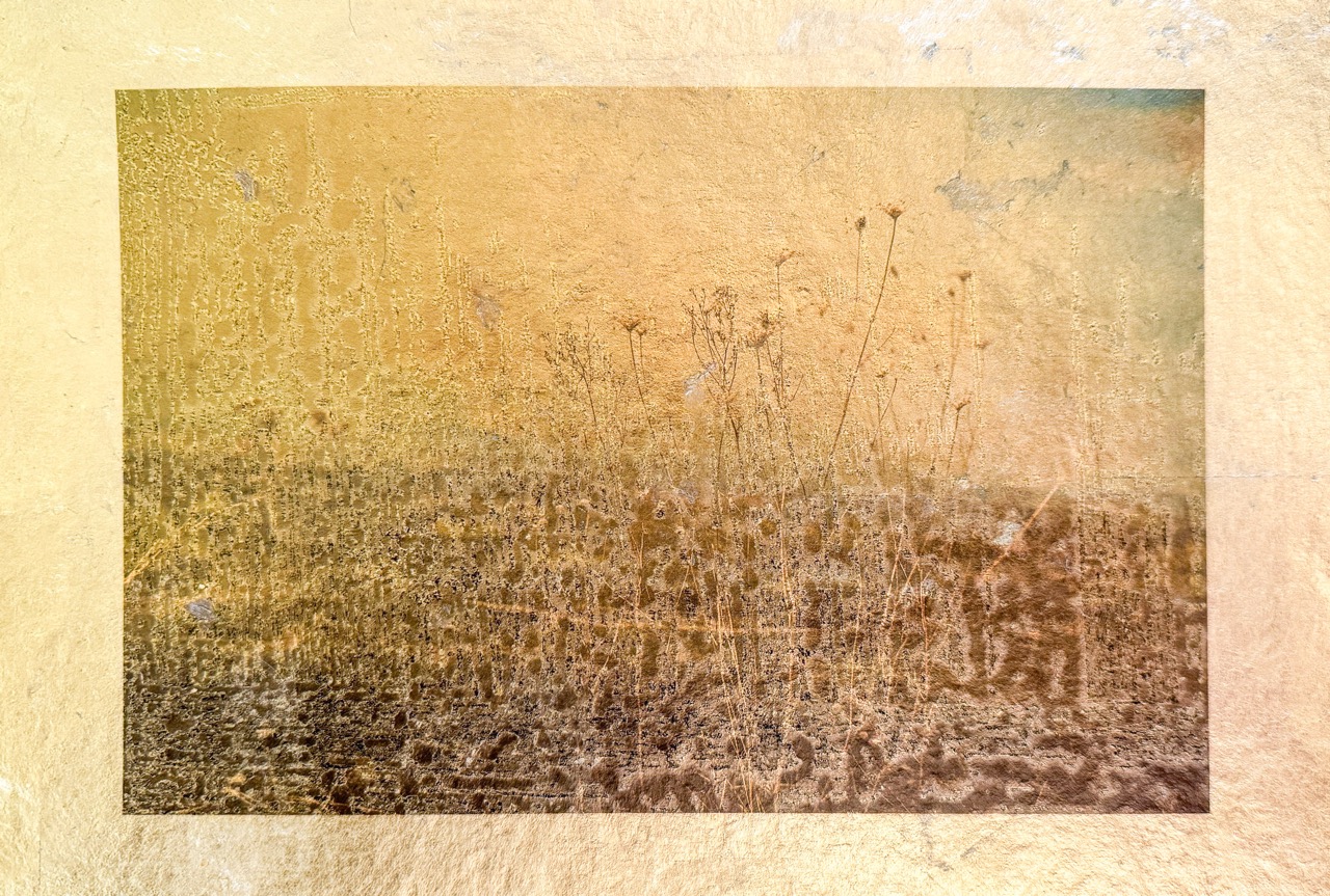 © Pamela Sherlock | Little Event Horizon on the Prairie