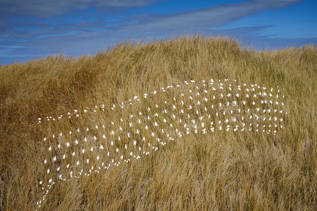 © Paulo Monteiro | Lights on