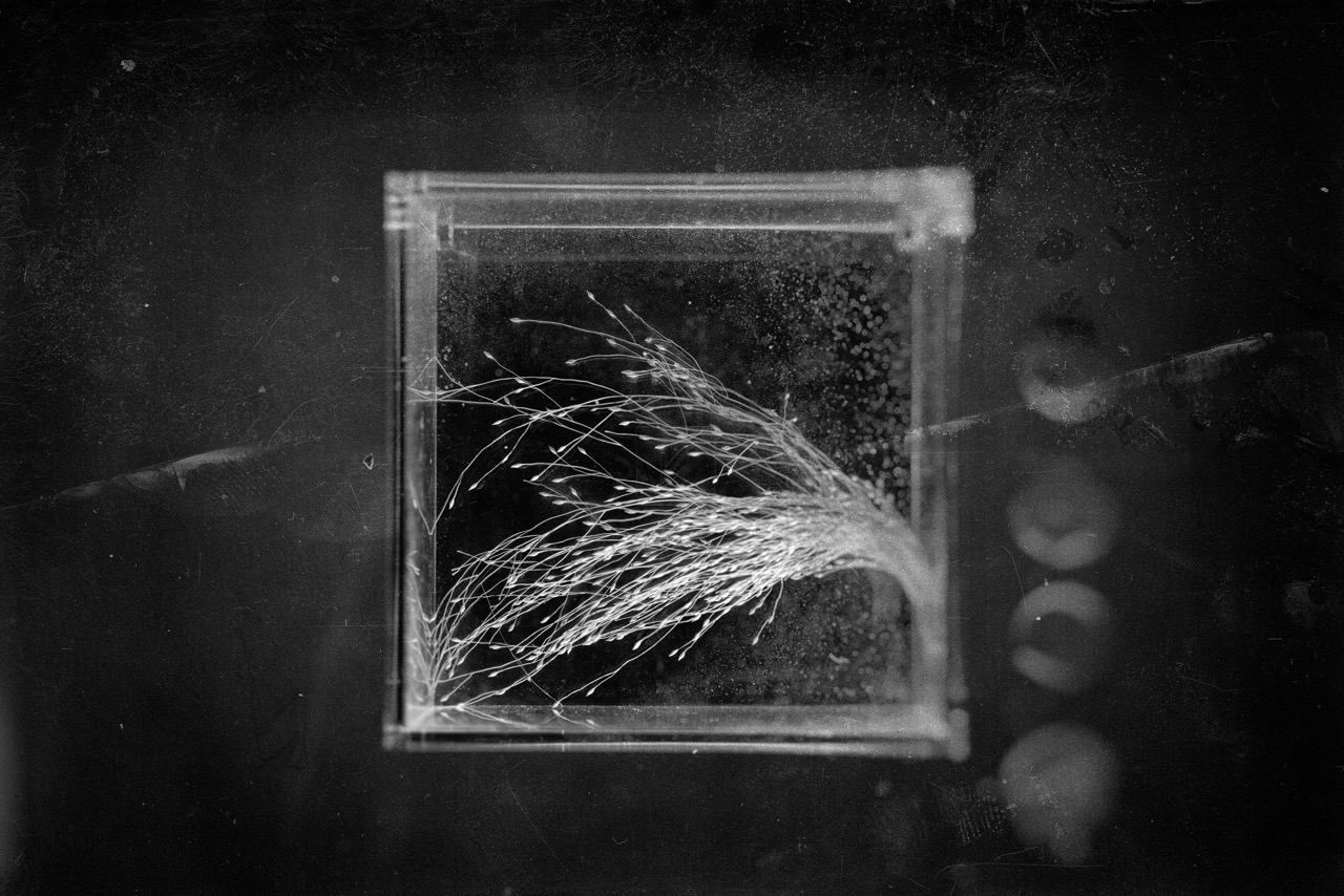 © Sander Martens | Contretemps - Moments that never synced