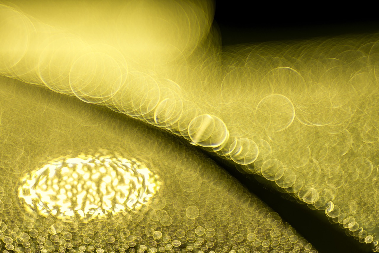 © Wlad Gustynowicz | Dewdrops