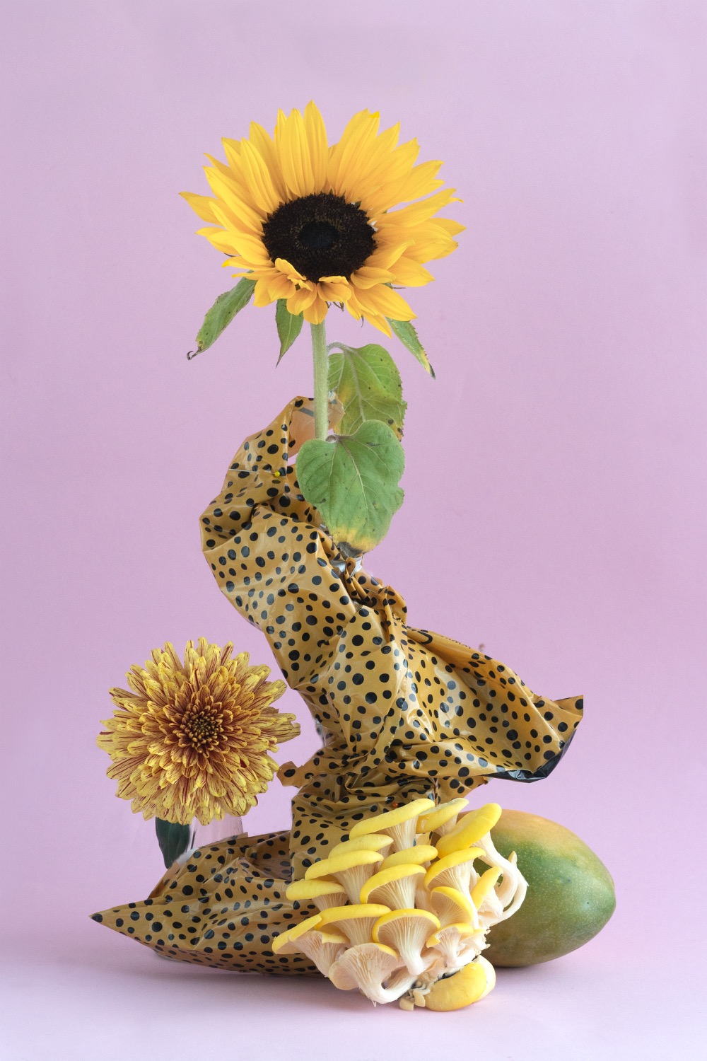 In the wake of war and displacement, Ukrainian photographer Nataliia Hresko has cultivated an artistic practice that bridges the delicate and the devastating. 