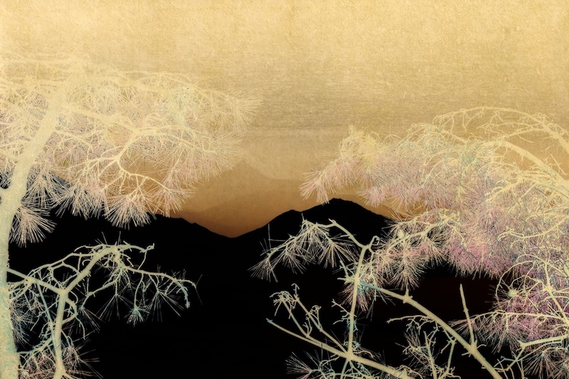 Albarrán Cabrera - A reality