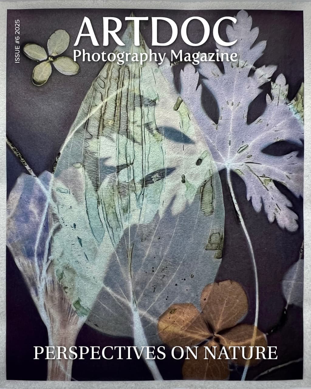 In Artdoc issue #6 2025, Perspectives on Nature, we feature four portfolios that each present their unique perspective on Nature. In The Material Life of Plants, Teri Figliuzzi explores photography to preserve the beauty of change during times of upheaval and uncertainty. Tristan Duke uses melting ice as the pencil of nature in his series Glacial Optics, observing the changing environment through lenses made of ice. Justin Pumfrey presents the poetic series Walking the Luminous Edge of Darkness, which he shot during the dark hours in a state of mind without labels. Tsung-yu Lu’s abstract photography combines scientific thought with artistic drive, pushing the limits of image creation. The essay Blueprints, Botanicals, and the Contemporary Cyanotype traces the cyanotype’s journey from a nineteenth-century scientific tool to a contemporary photographic language.