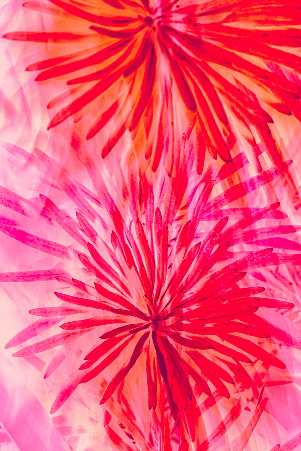 Expressive Nature Colours