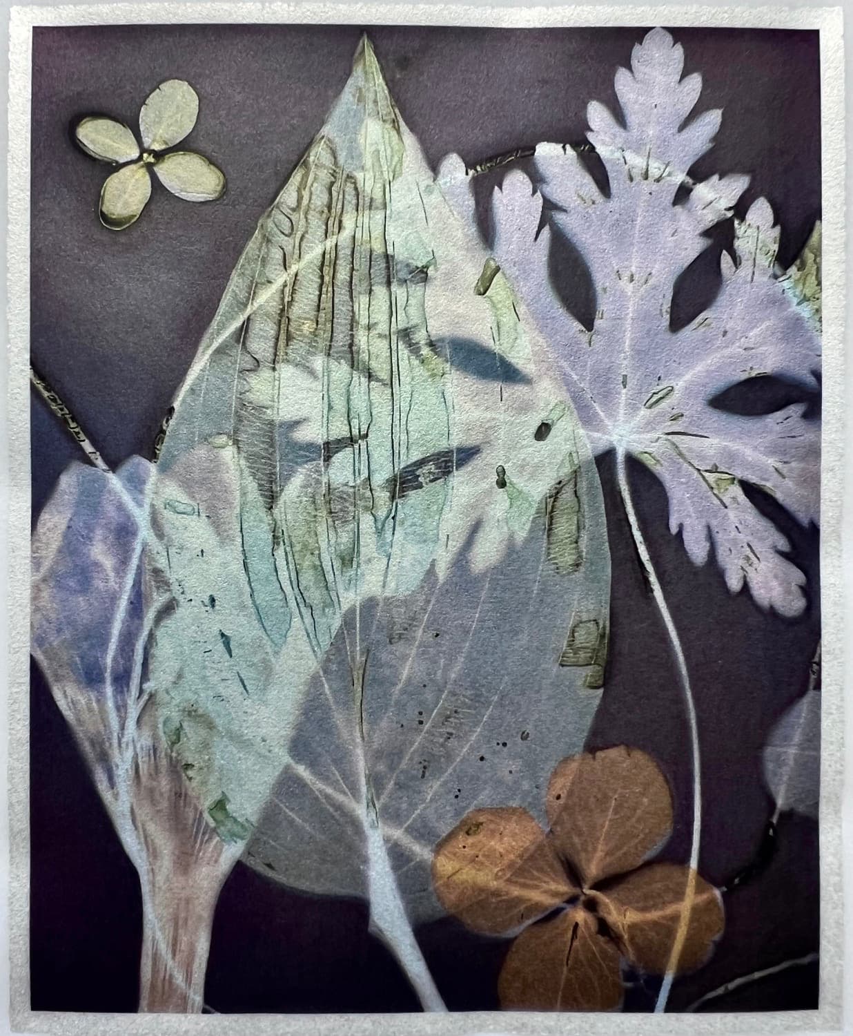 Figliuzzi uses photography to preserve beauty in fragile, ongoing transformation.