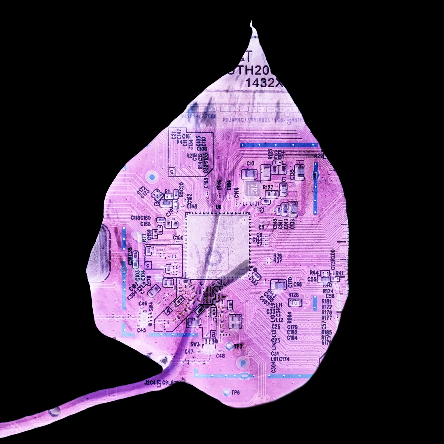 Finding balance between logic and feeling