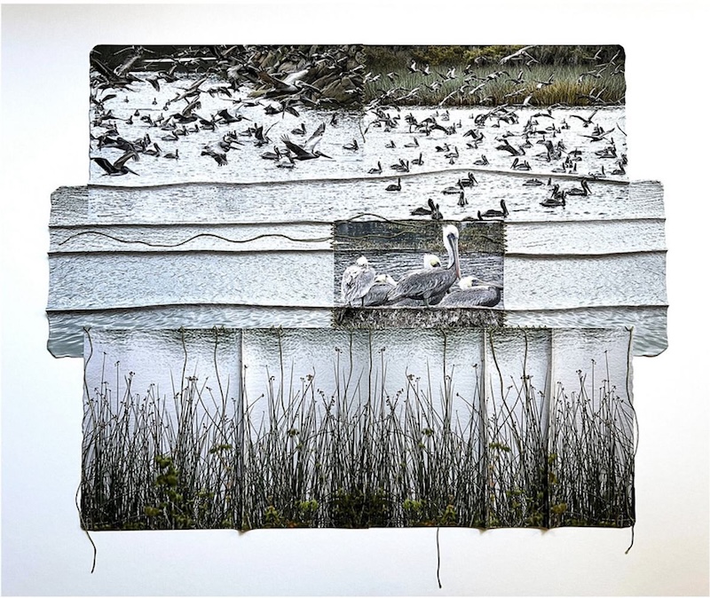 Landscape ReEnvisioned