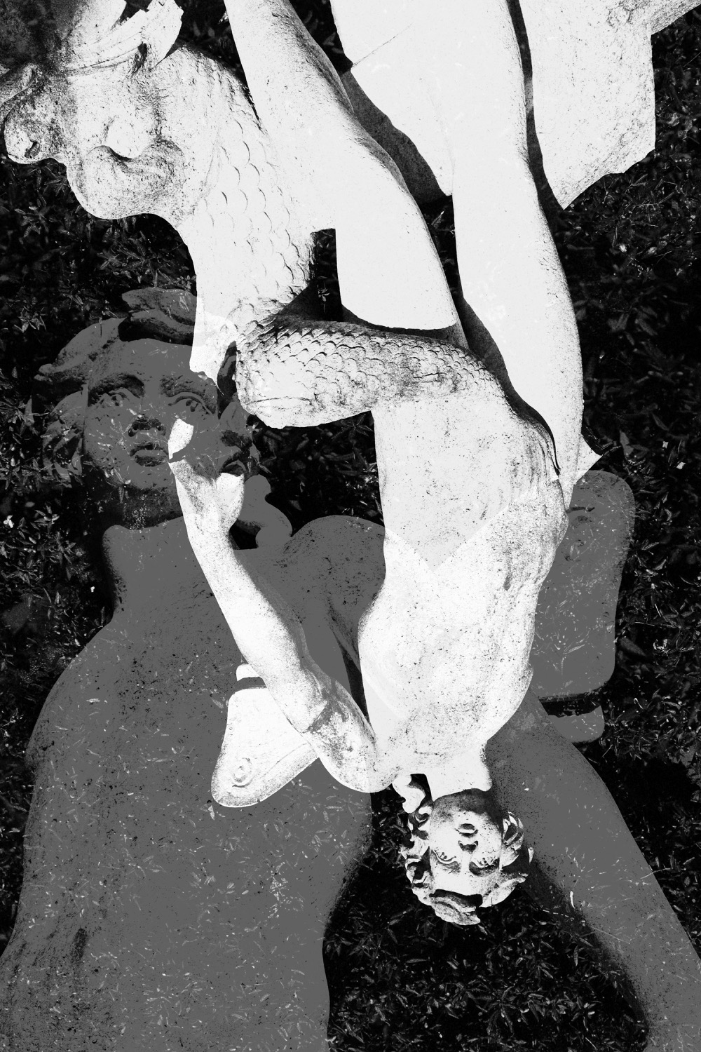 © Egon M | Noli me tangere - (Don't) touch me