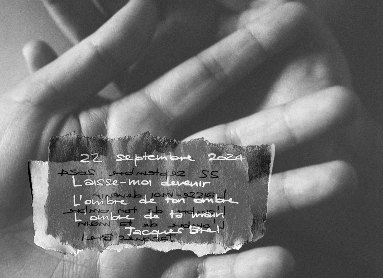 © Alma Bibolotti | Kaleidoscope