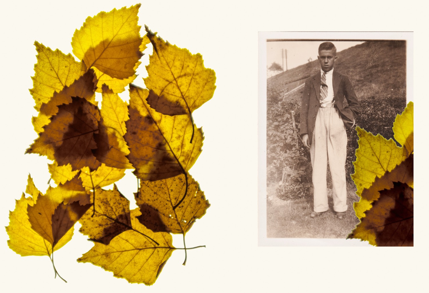 © Judith Bach | Number 39.