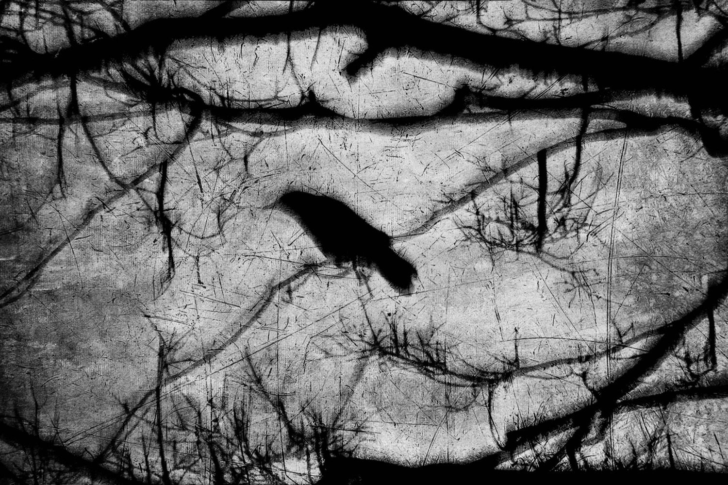 © Lawrence Manning | Murder In Nampa