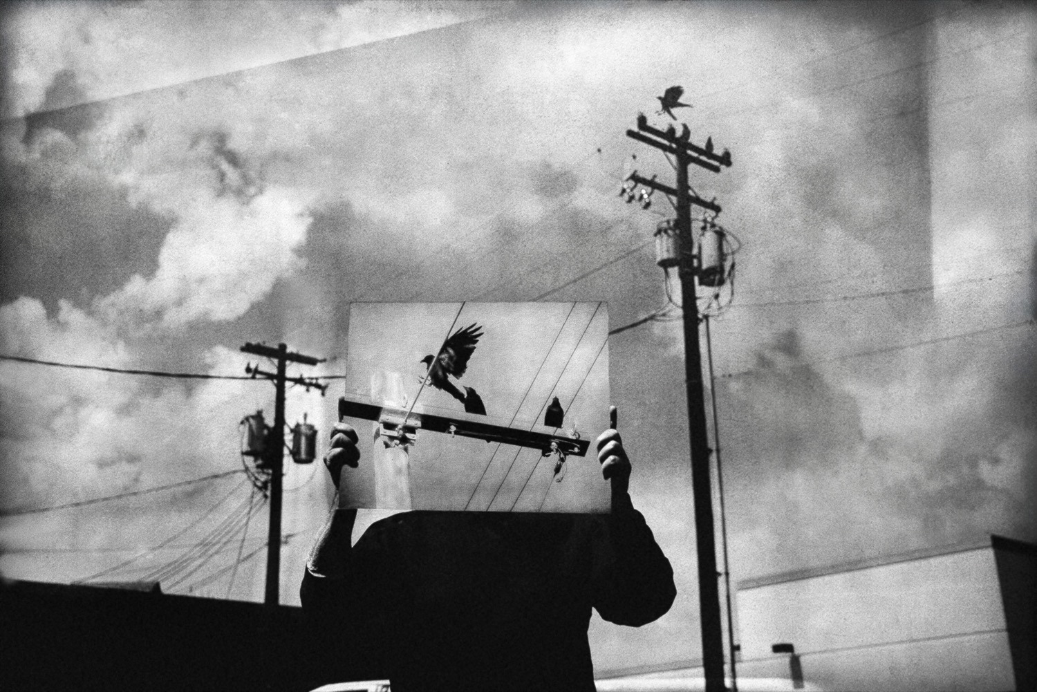 © Lawrence Manning | Murder In Nampa