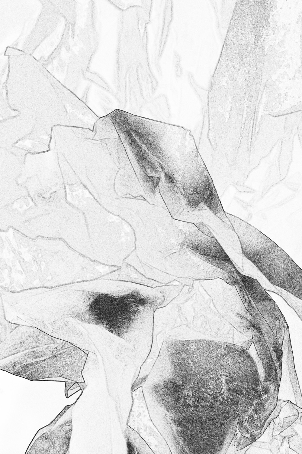 © Lilo Mangelsdorff | Rock Paper Scissors