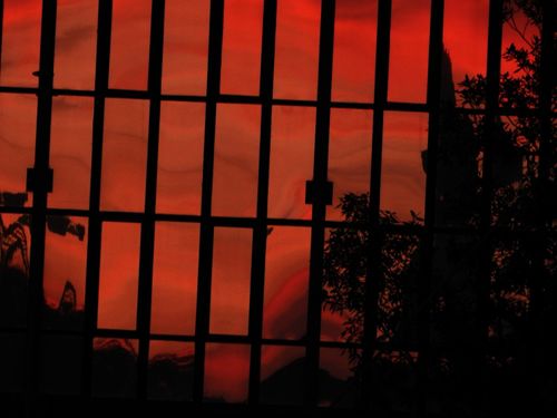 © Loredana Sansavini | Through the Red - Figures of Consciousness