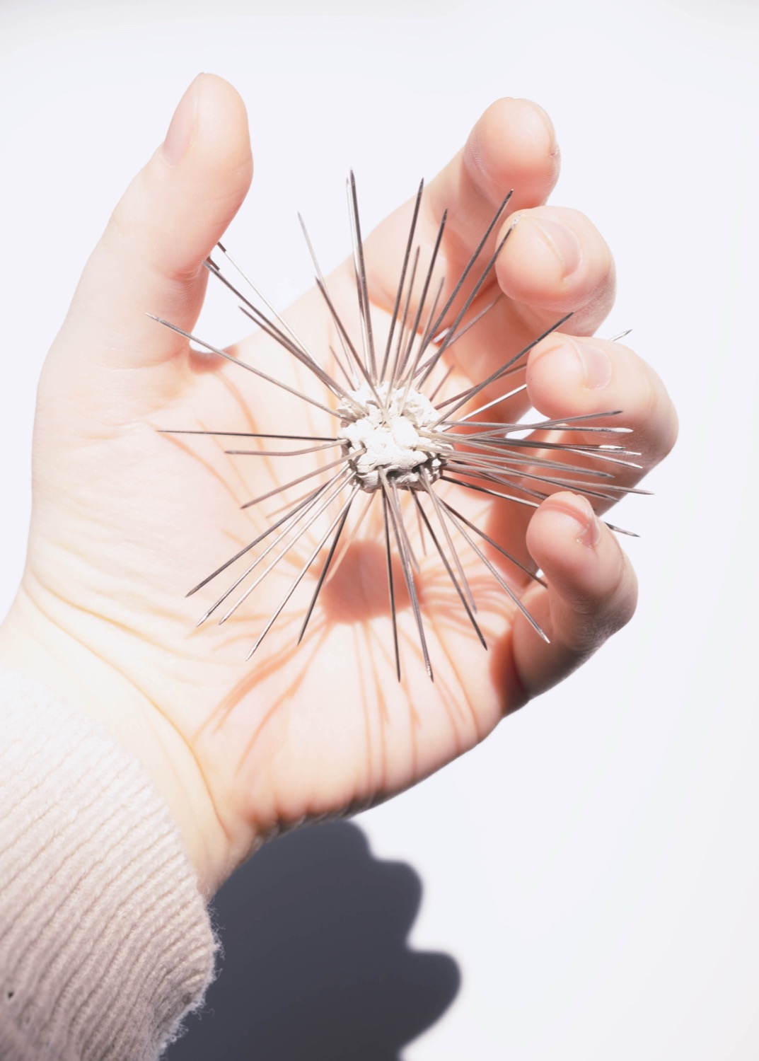 © Luisa Hörning | Softness of a Needle