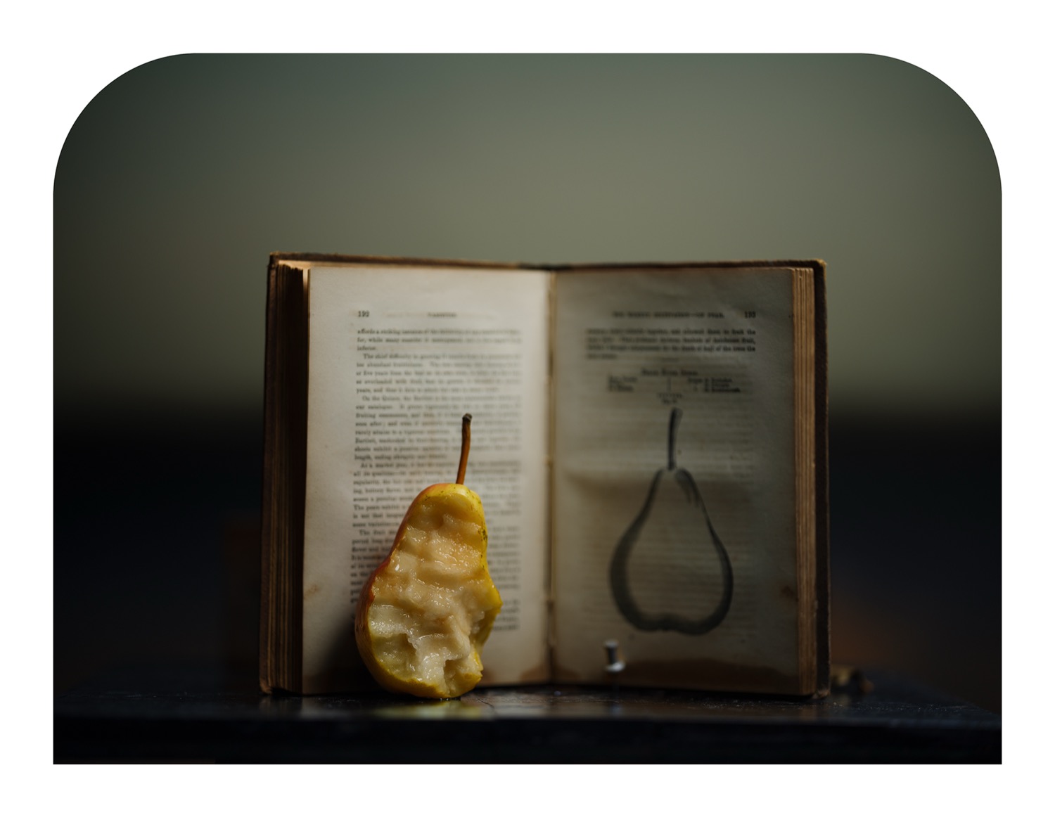 © Randy Richmond | Offerings