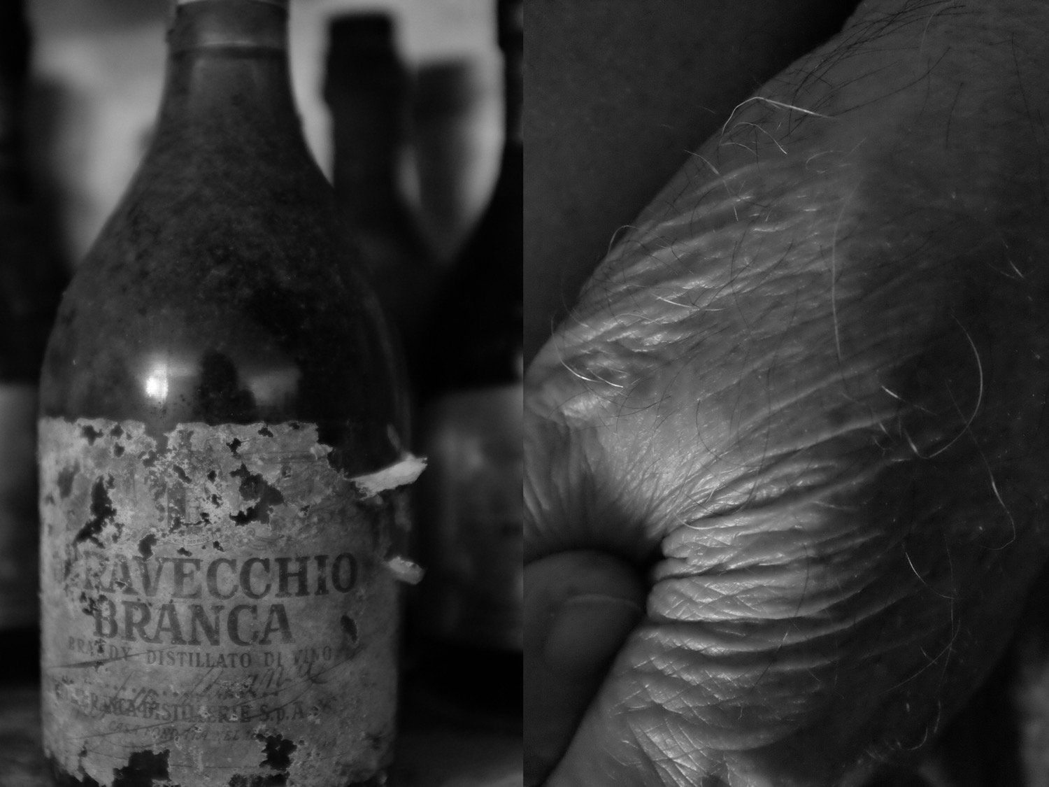 © Sara Zinelli | Aging