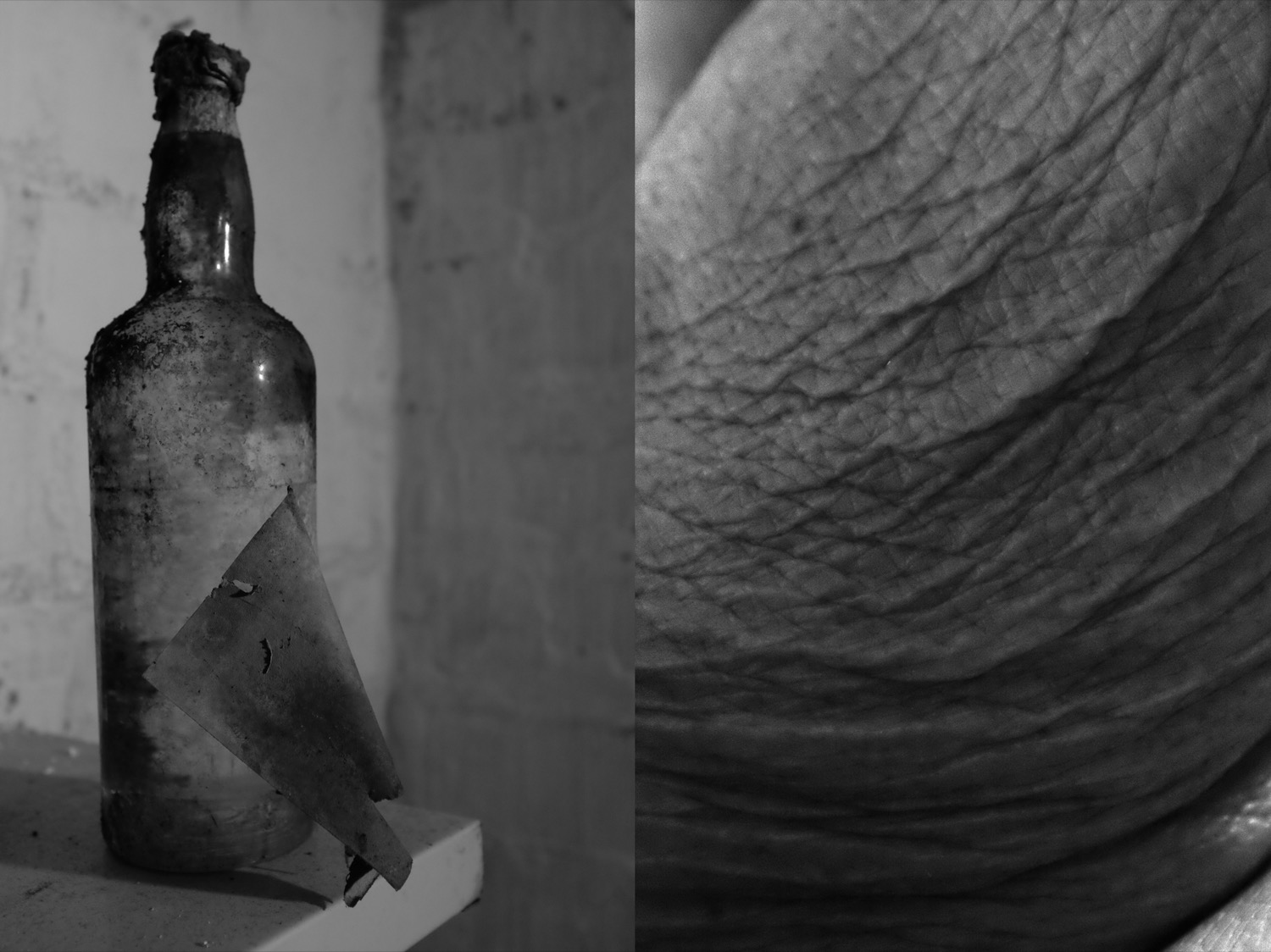 © Sara Zinelli | Aging