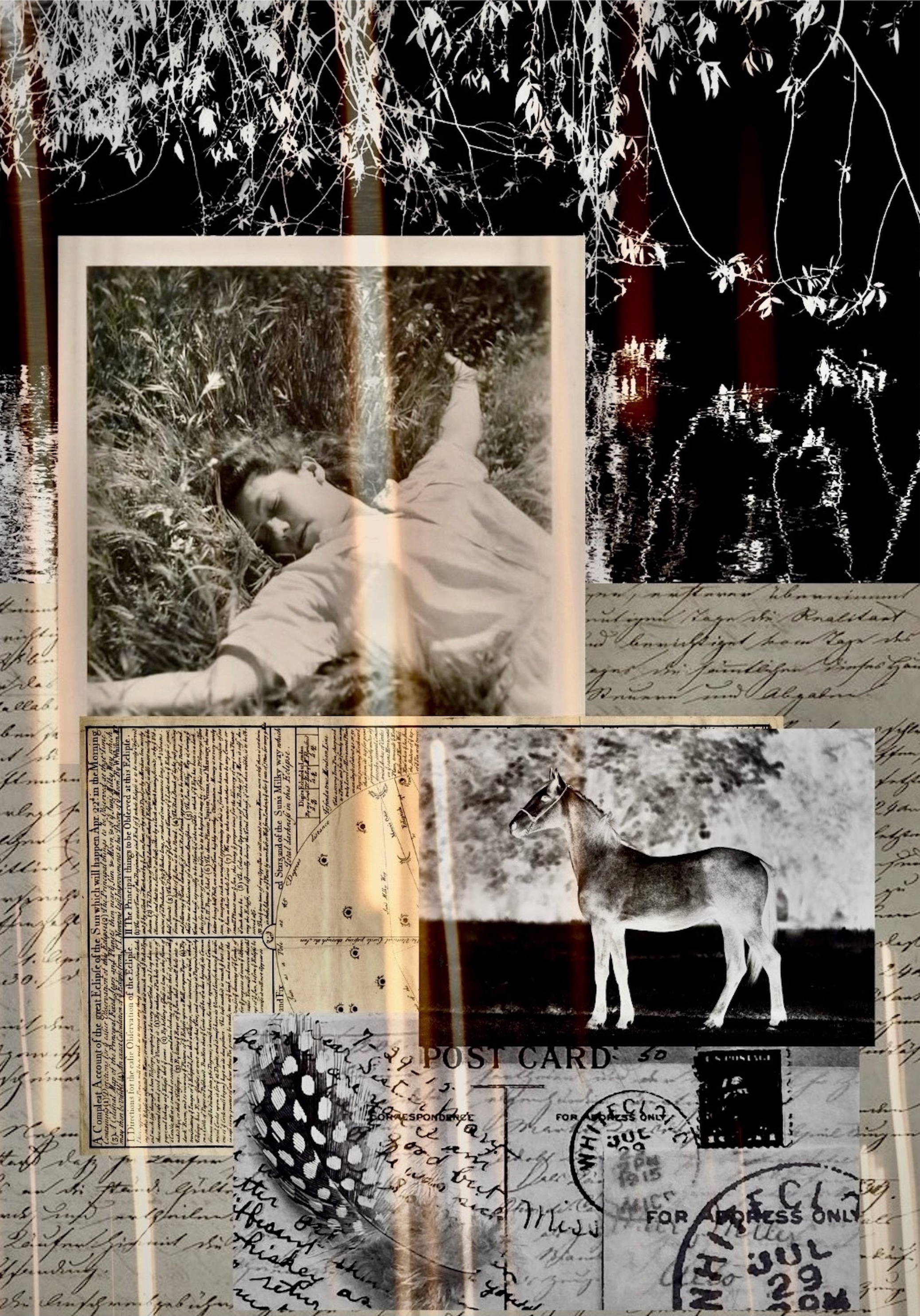 © Shannon Nahara | Honoring the Ancestors