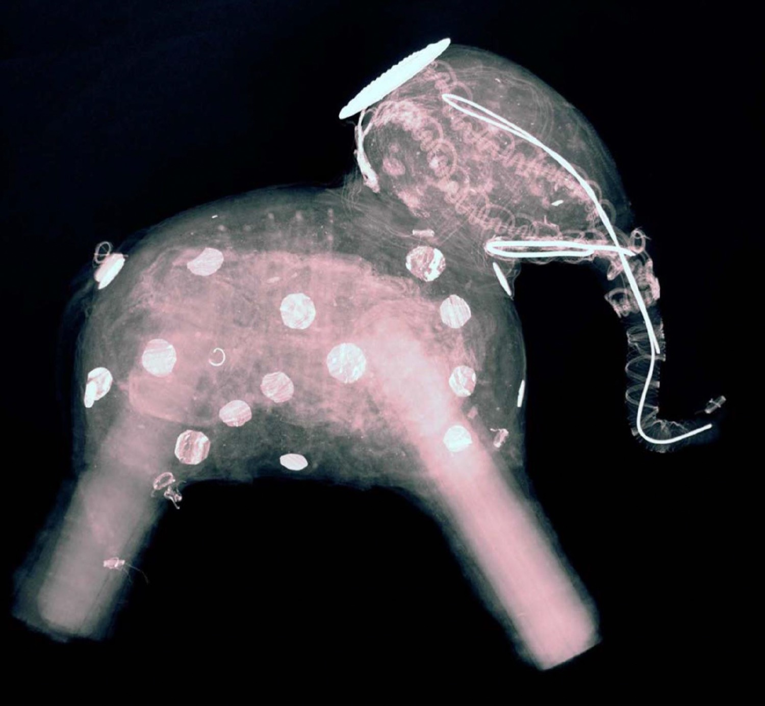 © Sue Ridge | X-rays- looking inside